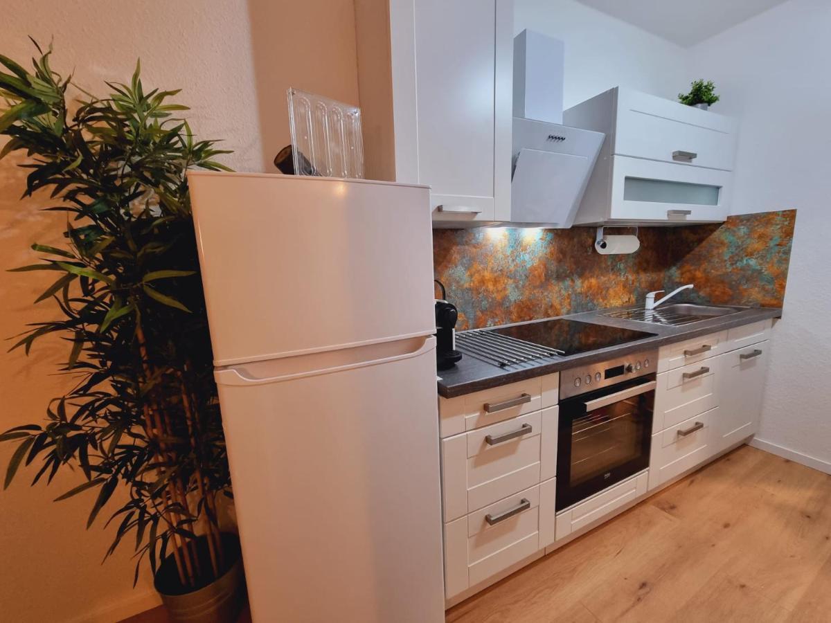 Lifestyle-Appartment Near Basf In Ludwigshafen 외부 사진